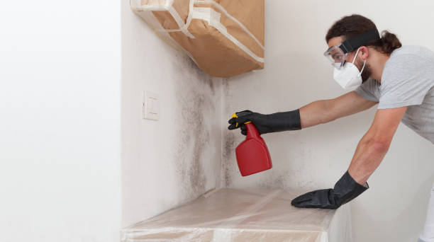 Professional Basement Mold Removal technician working in Florham Park, NJ