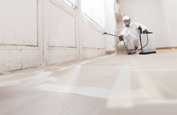24/7 Emergency Basement Mold Removal experts in Florham Park, NJ