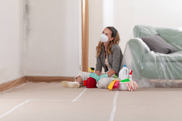 Reliable Basement Mold Removal contractor in Florham Park, NJ by WQB Mold Removal